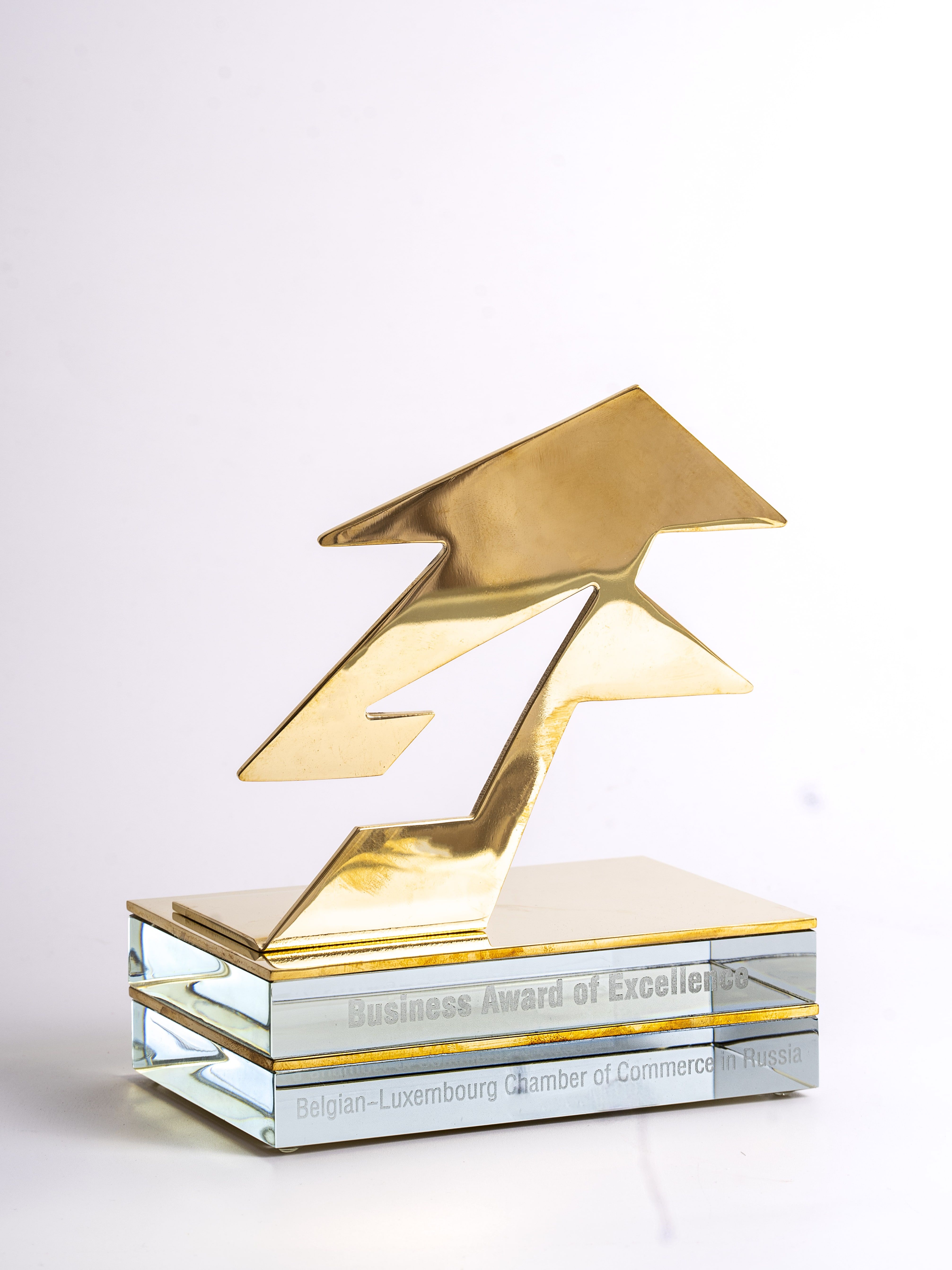 Международная Европейская премия «Business Award of Excellence»