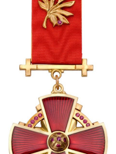 За профессиональную честь