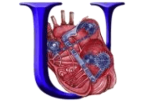 Клиническая эффективность негормональных методов терапии паталогического климактерического синдрома у женщин