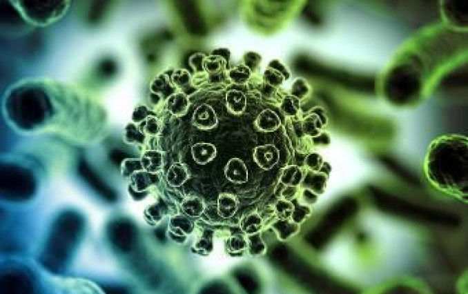 Растительные противовирусные препараты