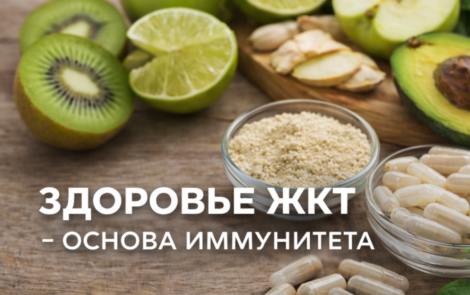 Здоровье ЖКТ - основа иммунитета