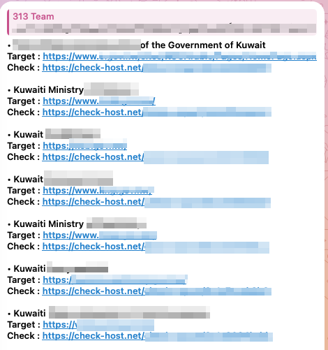 Figure 6. 313 Team group's statement regarding DDoS attacks on Kuwaiti government agencies