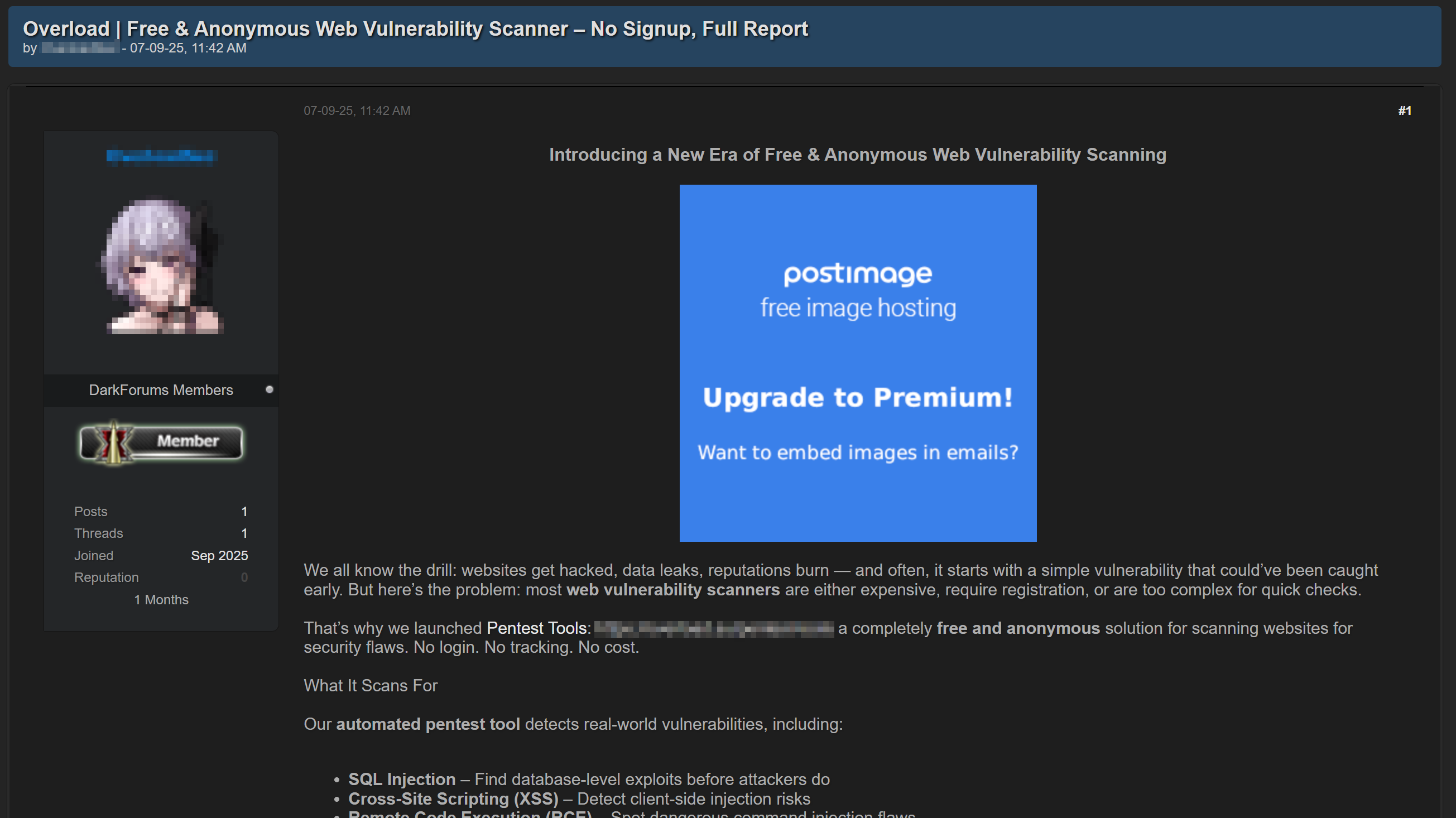 Figure 11. Listing offering a free vulnerability scanner with a premium mode
