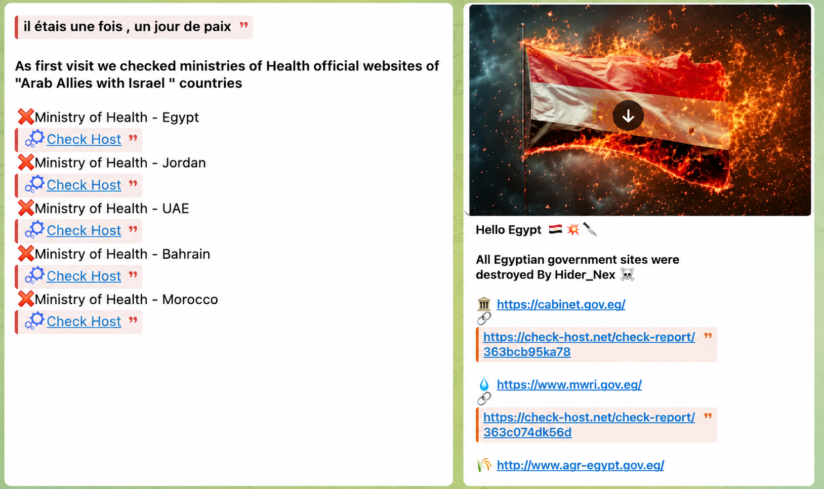 Figure 12. Telegram posts claiming DDoS attacks