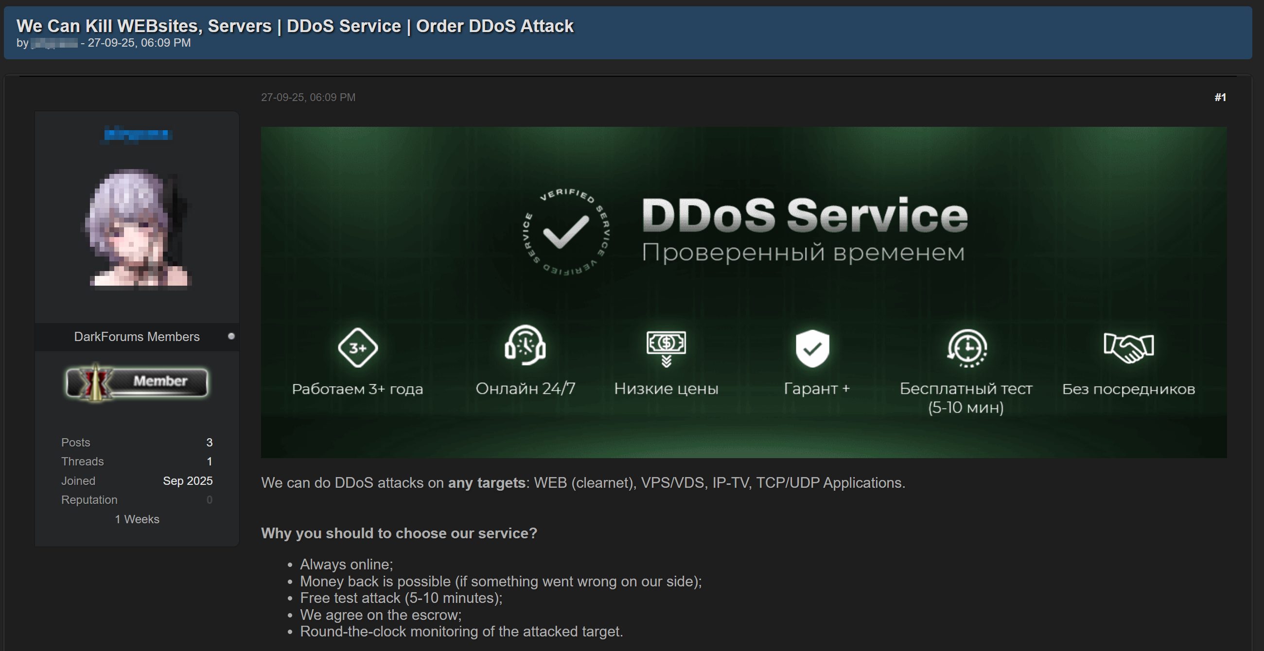 Figure 60. Listing offering DDoS attack services