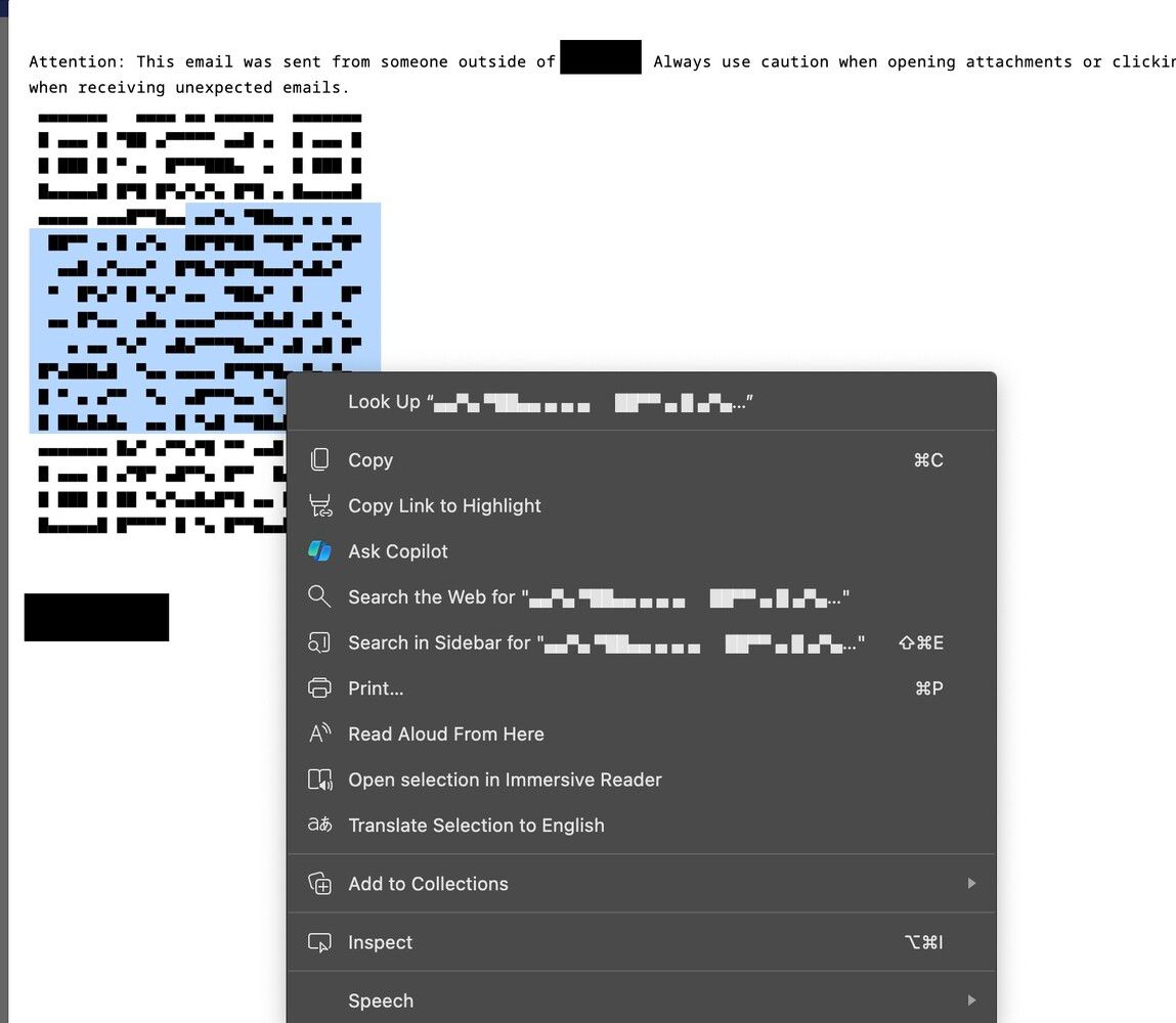 Рисунок 10. Пример вредоносного QR-кода Unicode (источник: SlashNext)