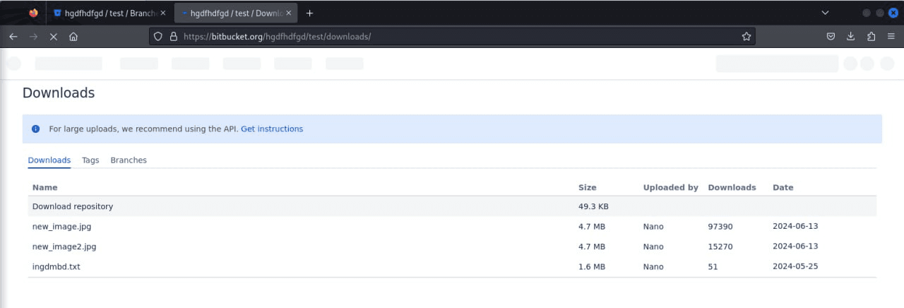 Рисунок 2 — bitbucket.org/hgdfhdfgd