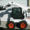 Bobcat 300