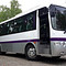 MERCEDES SPRINTER, YUTONG, HYUNDAI