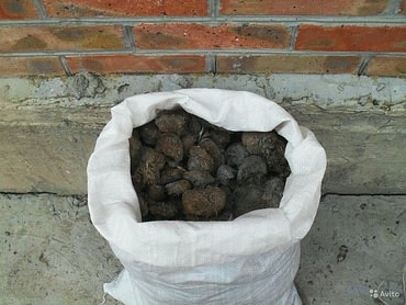 Доставка навоза 