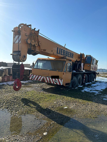 Liebherr Liebherr LT1080