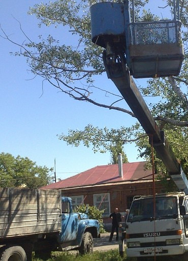 Спил деревьев в Таганроге