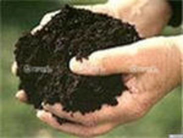 Доставка чернозёма