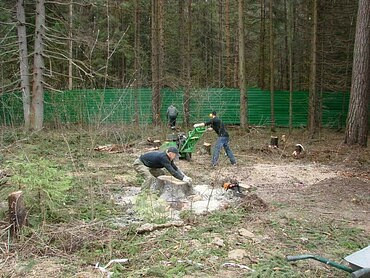 Благоустройство территории