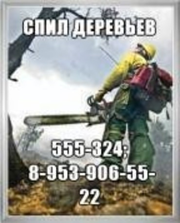 Спил деревьев и кустов, опиловка