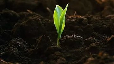 Доставка чернозёма