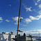 Камаз 43118