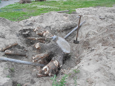 Удаление пней, кустарников и поросли