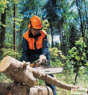 Спил деревьев и кустов, опиловка