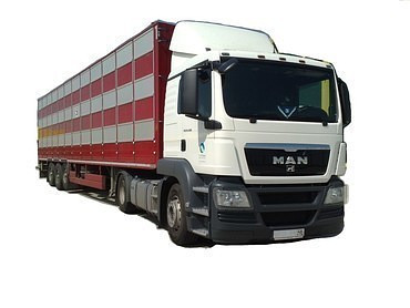 Мan+Полуприцеп Pezzaioli