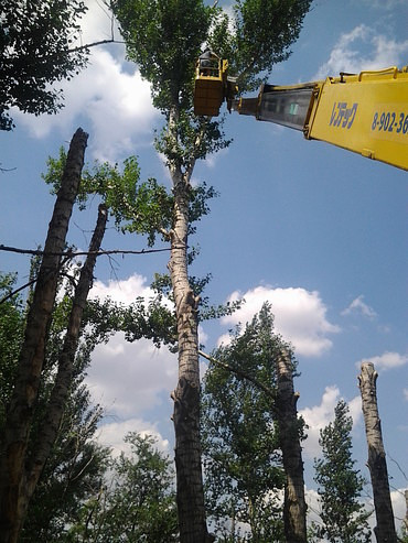 Услуги автовышки Волжский