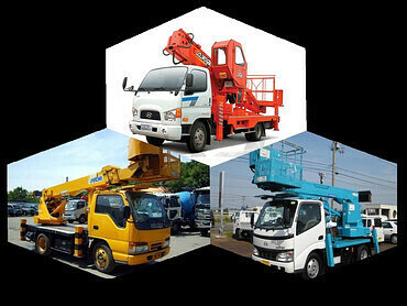 Спил деревьев и кустов, опиловка