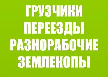 Специальные услуги