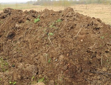 Доставка навоза 