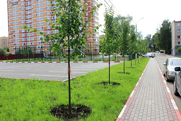 Строительство автодорог