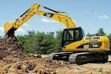 Cat 319