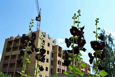 КБ-403;КБМ-401ПА; КБ-408.21; РДК-250