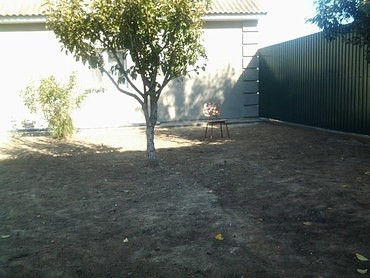 Специальные услуги