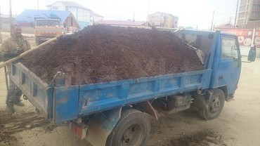 Благоустройство территории