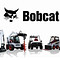 Bobcat