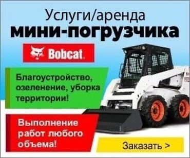 Bobcat S250