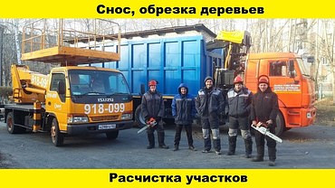 Спил деревьев и кустов, опиловка