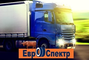 Запчасти для тягачей Volvo, MAN, Scania и других