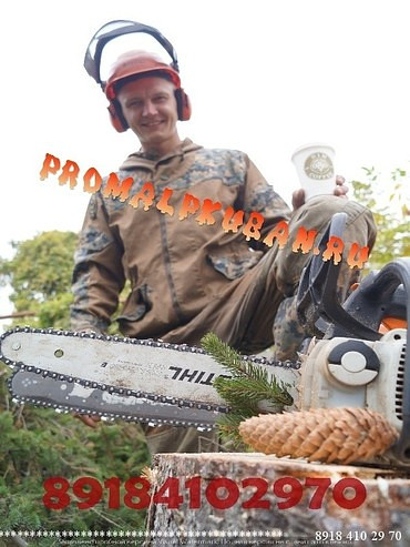 Обрезка деревьев