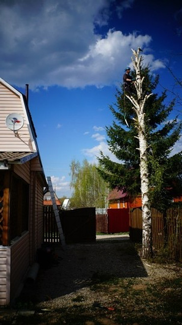 Обрезка и удаление деревьев