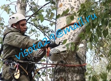 Подрезка деревьев, вырубка сухостоя и аварийных деревьев