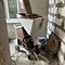 ProGress 220v