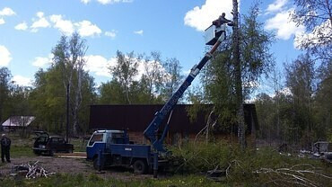 Кронирование деревьев