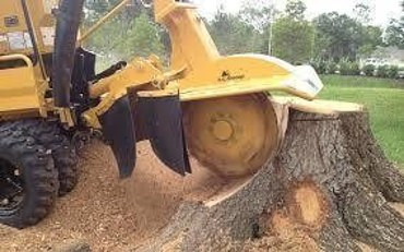 Корчевание пней