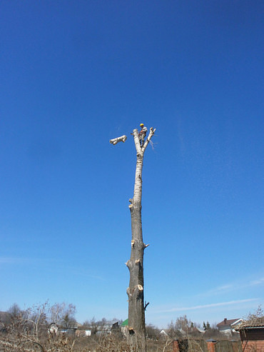 Требуются специалисты