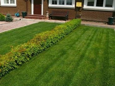 Благоустройство и озеленение участка