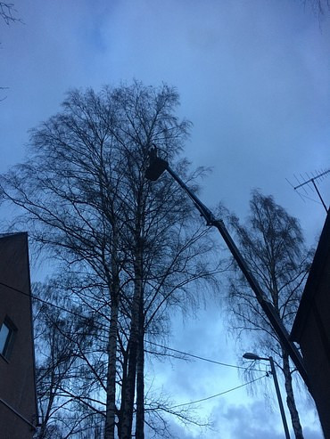 Услуги по обрезке деревьев и вырубке