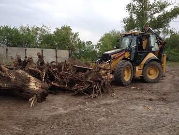 Удаление пней, кустарников и поросли