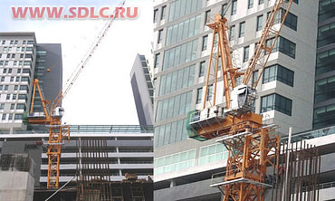 Дахань Dahan WTL 3035