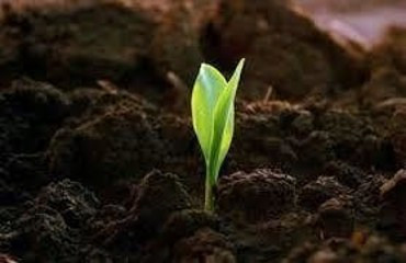 Доставка чернозёма