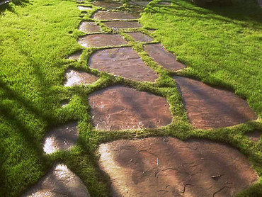 Благоустройство территории